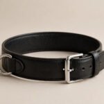 Elegant Bondage Play Collar