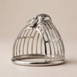 Lust Lock Chastity Cage