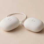 Pandora Wired 2 Piece Vibrator