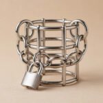 Sanctity Shield Chastity Lock