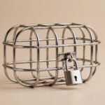 The Cellmate Chastity Cage