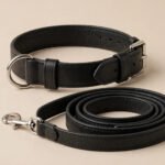 The POWER Collar and Lead