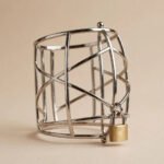 The Warden Chastity Cage